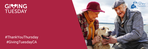 Elderly couple with dog